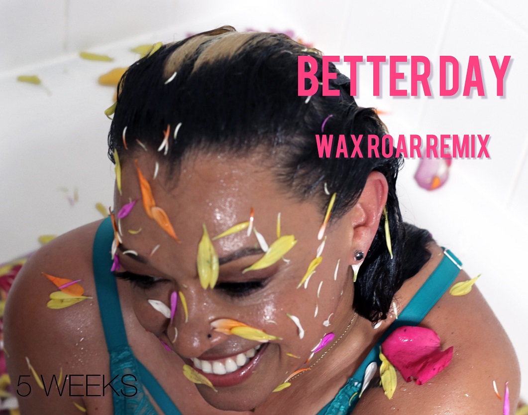 Song of the Day: Better Day (Wax Roar Remix) – 5 Weeks – New Lease Music